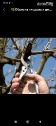 Алма бак бутайбыз баардык турун, Обрезка плодовых деревьев гарантия 💯