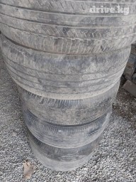 245.55.19 лето, цена за шт