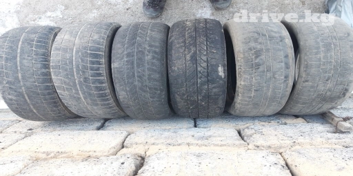 Зимний донголоктор состояние суротогудой бараны 3минге берем.штучно