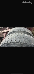 Шина. Размер 22,5. С диской