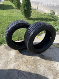 Шины 205 / 50 / R 20, Всесезонная, Б/у, Пара, Внедорожные (АТ/МТ), Goodride