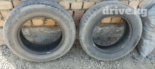 Донголок пара 1000сом бир сезонго же запаскага жарайт