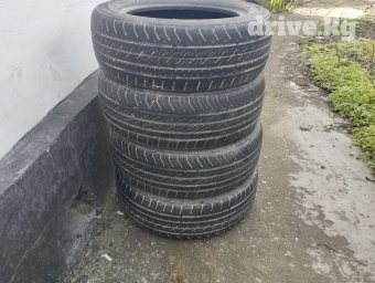 205.60.16 летнии шины комплект