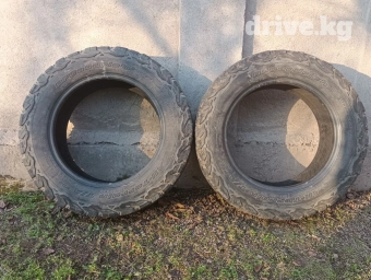 Шины 215 / 65 / R 16, Всесезонная, Б/у, Пара, Легкий коммерческий транспорт (C/LT), США, BFGoodrich