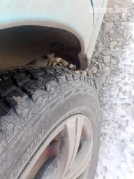 Другие детали ходовой части