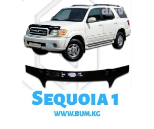 Мухобойка Sequoia 1
секвоя 
Sequoia bum.kg