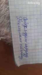 Кузов тентованный BMW, 2023 г., Б/у, Оригинал