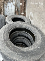 Ведущие балано и есть бочки