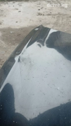 Капот Honda, Б/у, Оригинал