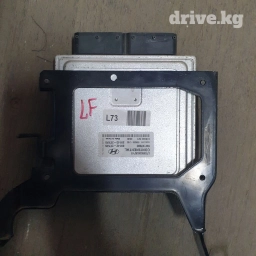 Саната Лф и нюрайс блок управления (мозги)