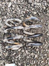 Пружина Вито