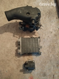 Моно кампилекти