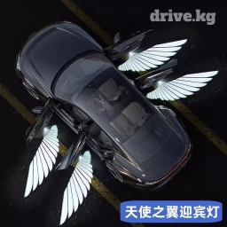 Светодиодная подсветка двери автомобиля с крылом АНГЕЛА 2 дверей