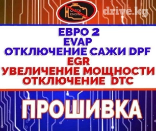 Прошивка авто Переход на нормы токсичности Евро-2/Евро-0 (Отключение