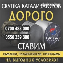 Катализаторы алабыз, Катализатор катализатор бар катализатор алам