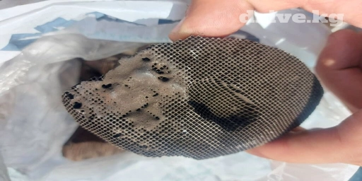 Катализаторы сатып алабыз, эн кымбат баада катализатор, Куплю Скупка