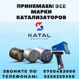 Скупка Катализаторов катализатор алам Каталик катал катик католизотар