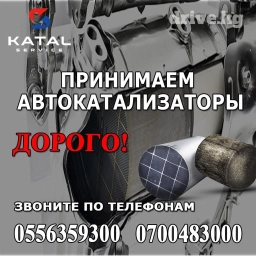 Катализатор дорого котализатор котолизатор католизатор дорого анализ