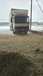 Грузовик, Mercedes-Benz, Стандарт