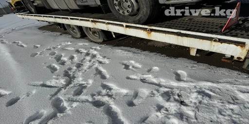 Прицеп, Автовоз, 9 т, Б/у