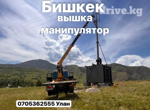 Манипулятор, 10 т