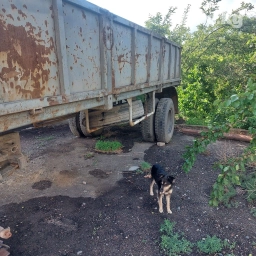 Прицеп, Камаз, Бортовой, 10 т, Б/у