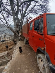Легкий грузовик, Б/у