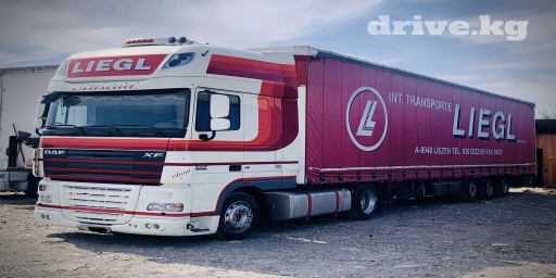 Тягач, DAF, 2008 г., Шторный