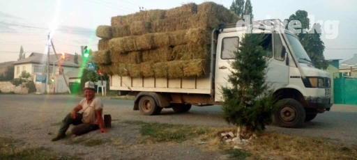 Легкий грузовик, Б/у