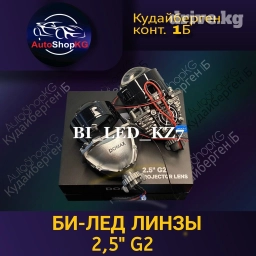 BI-LED МОДУЛЬ DOMAX G2 2.5 дюйма охлаждением Матрица светодиодная