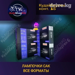 Фары F19 LED 12V Autointelligent SAK представляют собой