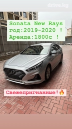 Сдаю в аренду: Легковое авто, Частная аренда