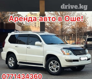 Сдаю в аренду: Легковое авто