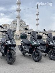 Сдаю в аренду: Скутер