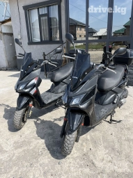 Сдаю в аренду: Скутер