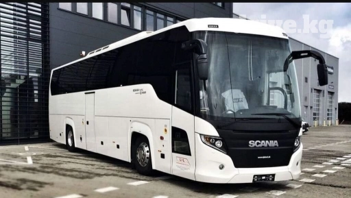 Пянный водитель любого транспортные категории транспортные услуги