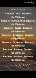 Кыргызстан ичинде жана эл аралык багыттар боюнча авиабилеттер🛫🌍🇰🇬