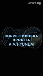 Корректировка одометра(пробега) 
Скрутка пробега Kia/Hyundai/Genesis