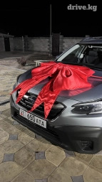 Сдается бантик на прокат