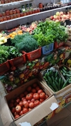 Доставим зелень как из грядки лук укроп кинза сельдерей листья салата