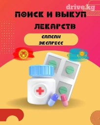 Курьерская служба Алматы Бишкек Экспресс доставка за 1 день по