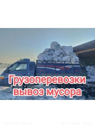 Портер, Вывоз бытового мусора, По городу, с грузчиком