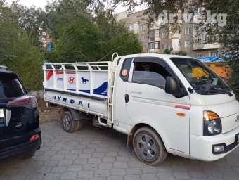 Портер, Вывоз строй мусора, По городу, с грузчиком