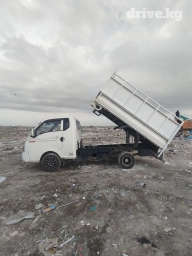 Портер, Вывоз строй мусора, с грузчиком