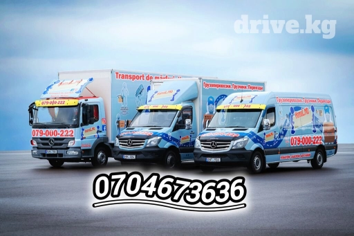 По региону, По городу, с грузчиком