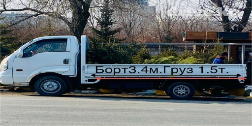 Портер, Переезд, перевозка мебели, По региону, По городу, с грузчиком