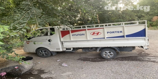 Портер, Вывоз строй мусора, По городу, с грузчиком