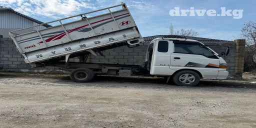 Портер, Вывоз строй мусора, По городу, По региону, с грузчиком