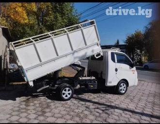 Портер, Вывоз строй мусора, По региону, По городу, без грузчика