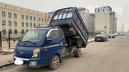 Портер, Вывоз строй мусора, По региону, По городу, По стране, с грузчиком